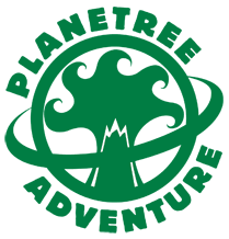 achieve more logo
